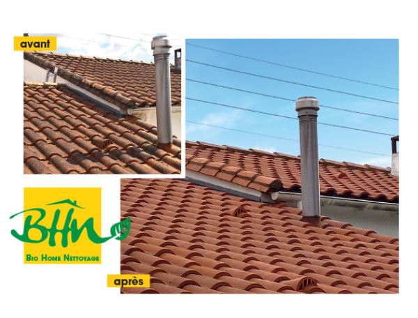 Démoussage traitement et protection toiture à Trizay