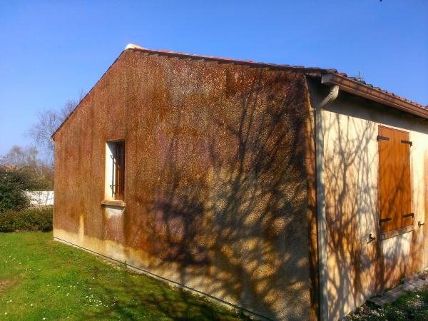 Traitement et protection façade à Trizay